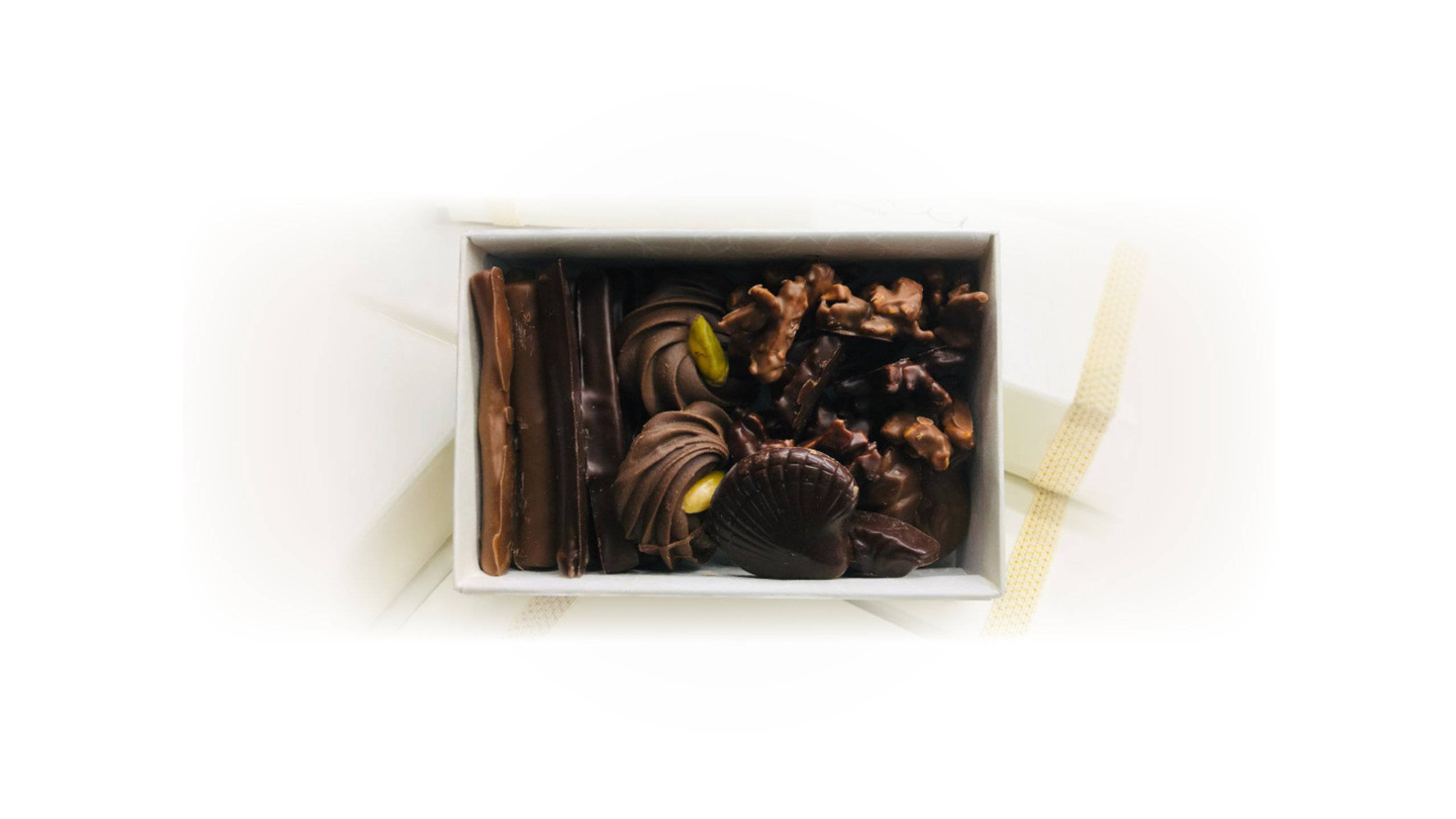 ここにサンプルテキストが入ります。